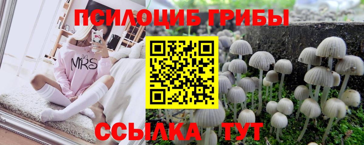 Псилоцибиновые грибы MAGIC MUSHROOMS Ханты-Мансийск